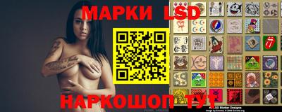 шишки Кимры