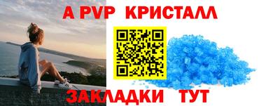 шишки Кимры
