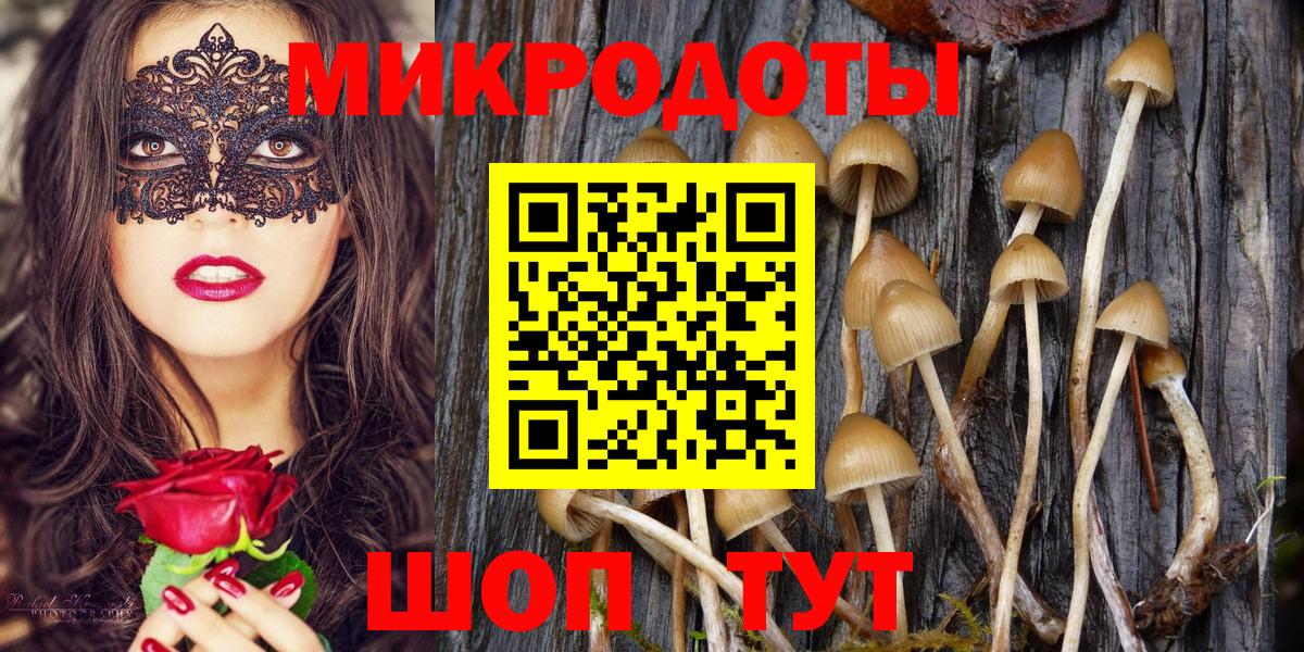 Котовск  Галлюциногенные грибы Psilocybine cubensis  Галлюциногенные грибы GOLDEN TEACHER  Вход с VPN 